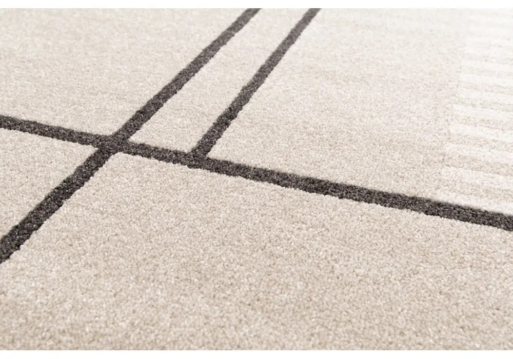 Covor bej 160x230 cm Domus – Universal