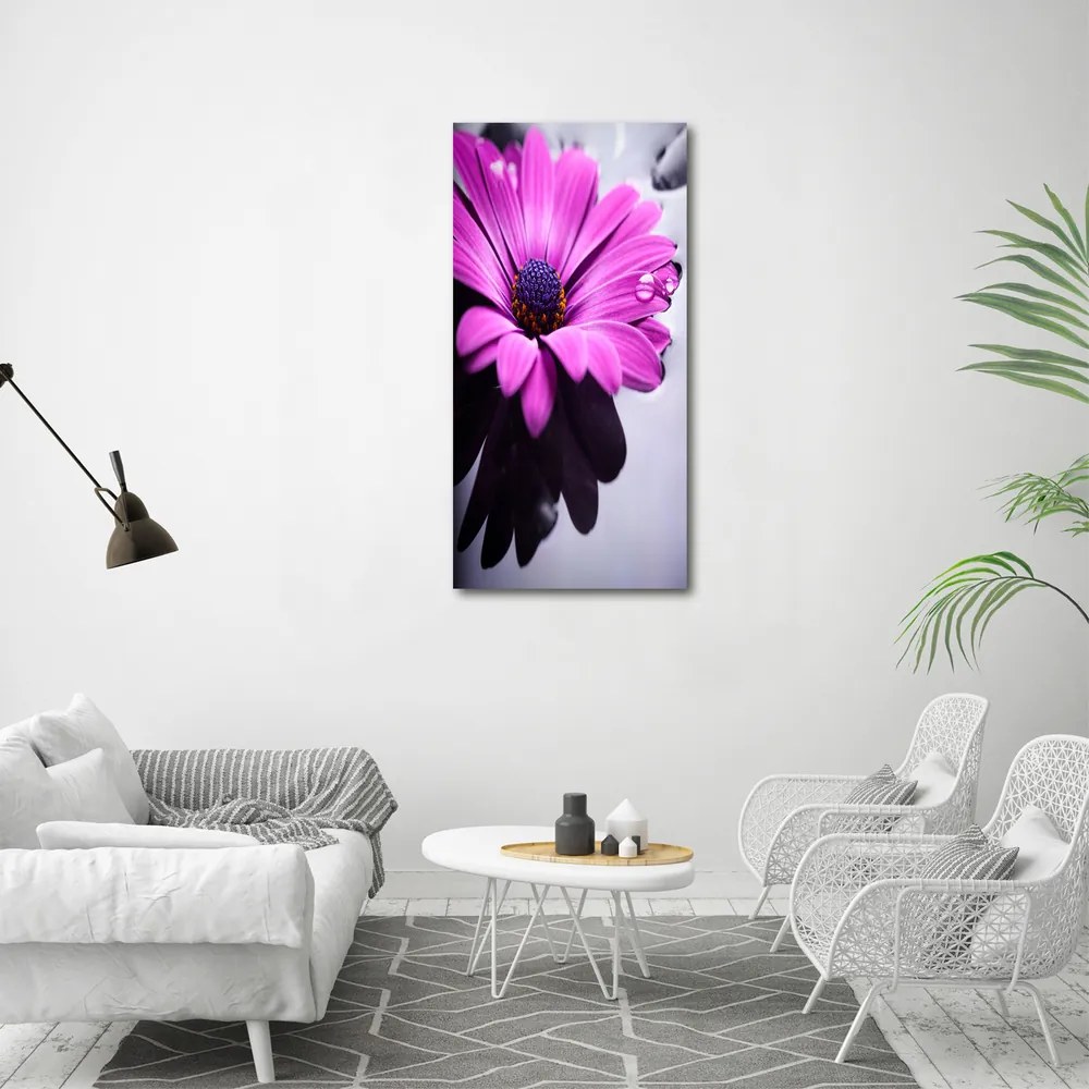 Imprimare tablou canvas Gerbera roz
