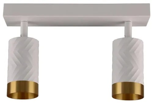 Spot ARRAS 2xGU10/10W/230V alb