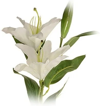 Floare artificială Lilie mare albă, două flori șiboboc, înălțime 84 cm