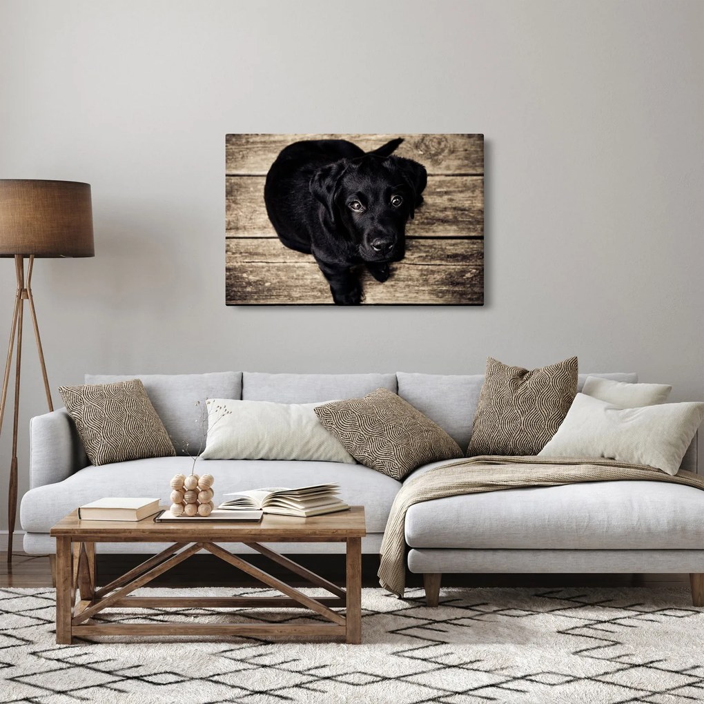 Tablou cu cățeluș negru (90x60 cm)