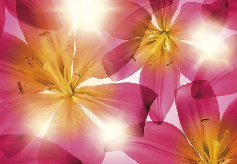 Fototapet floral Crini roz