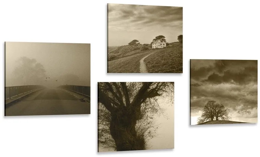 Set tablouri natura misterioasă în design sepia