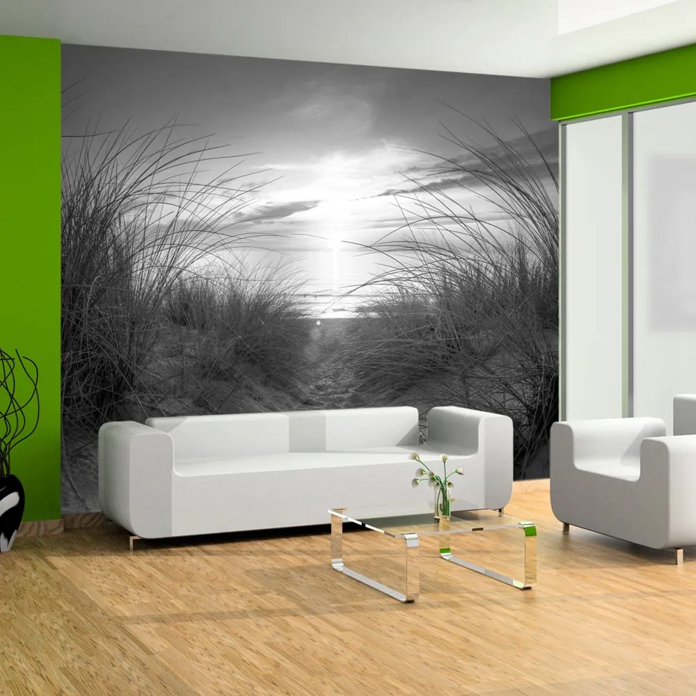 Fototapet Bimago - beach (black and white) + Adeziv gratuit 200x140 cm