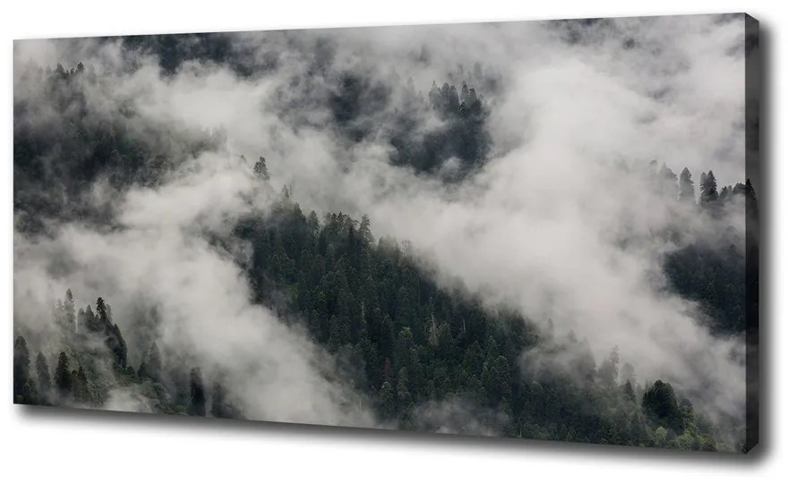 Pictură pe pânză Ceață peste pădure