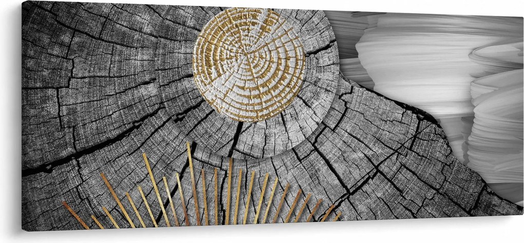Tablou - Trunchiul copacului colaj (120x50 cm)