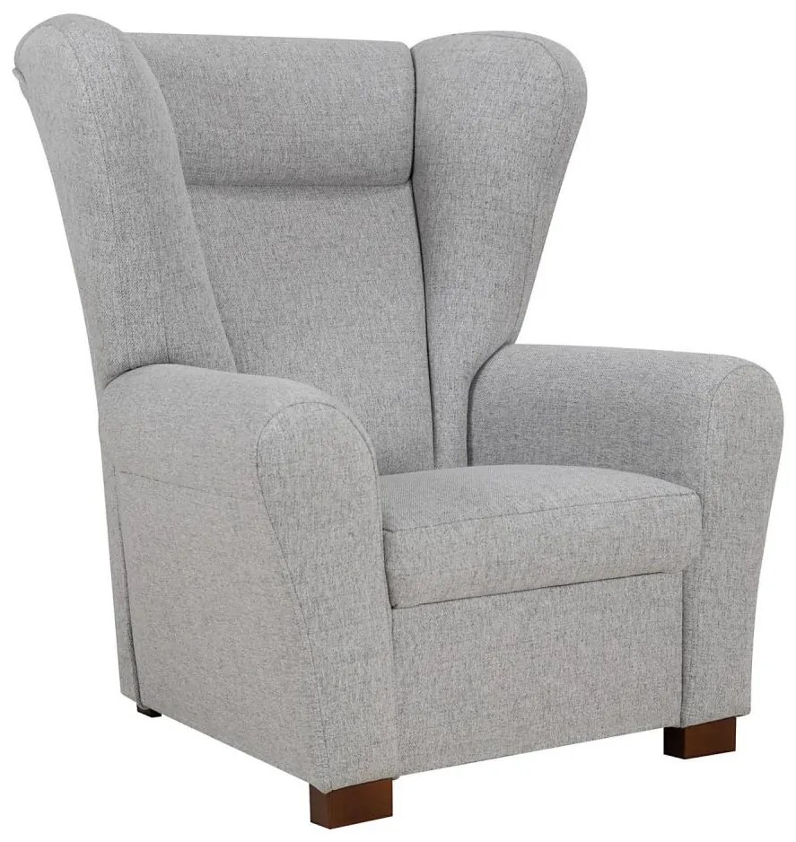 Fotoliu VIVA, gri, cu aripi