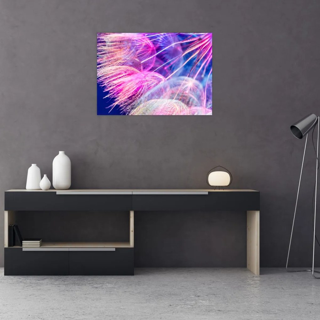 Tablou - Macro (70x50 cm)