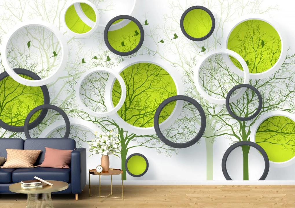Tapet Premium Canvas - Cercuri colorate si pomi abstract 3d