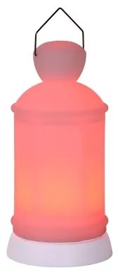 Lucide 13809/20/61 - Lampa de masa LED exterior TOBY-LED 1xLED/1W/230V