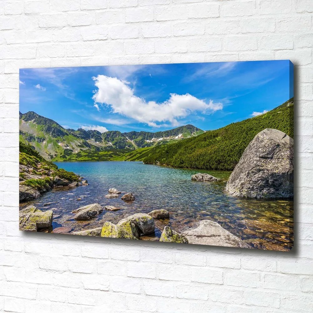 Tablou pe pânză canvas Tatra valley