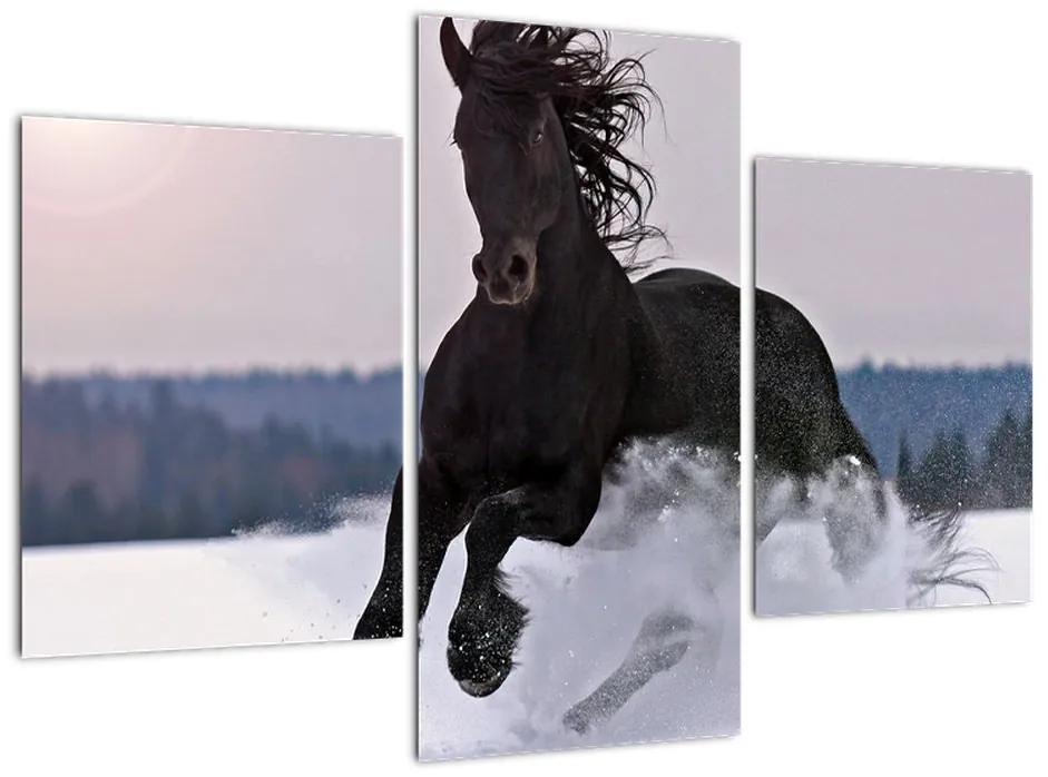 Tablou - cai în zăpadă (90x60cm)