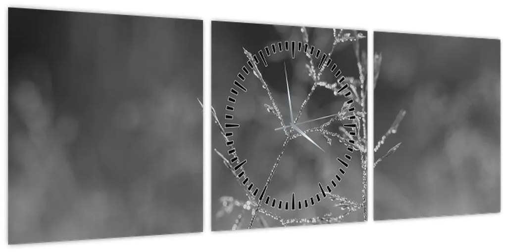 Tablou - Pajiște de țară (cu ceas) (90x30 cm)