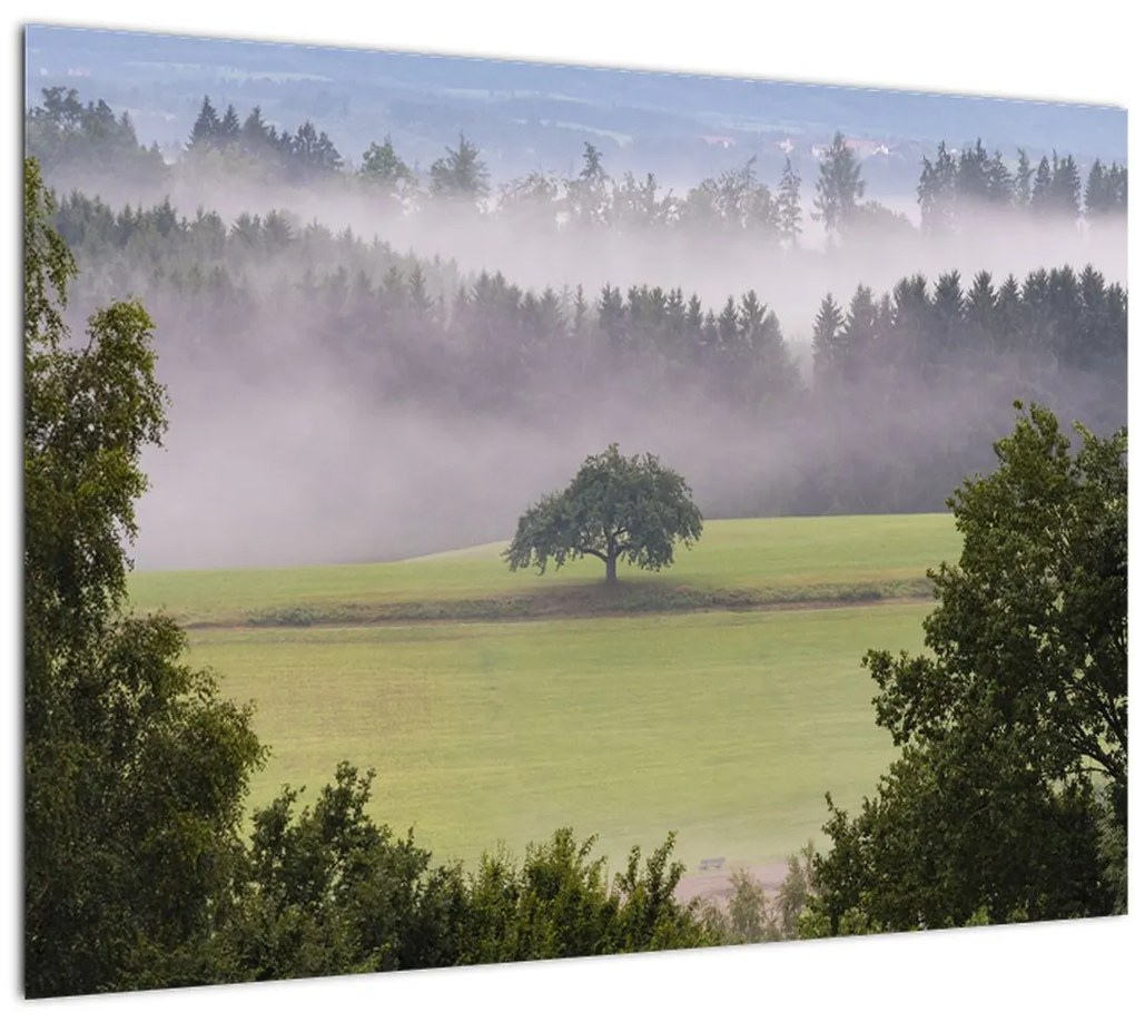 Tablou - Lunca cu copac (70x50 cm)