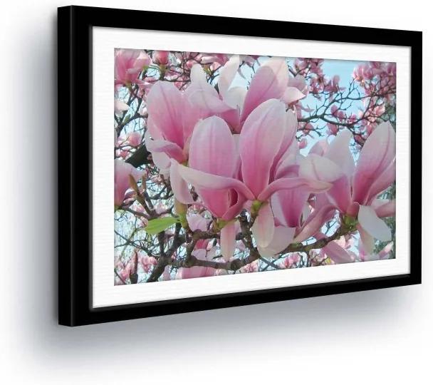 GLIX Tablou - Light Pink Flowers in the Passepartout 25x35 cm
