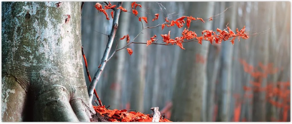 Tablou - Toamna (120x50 cm)