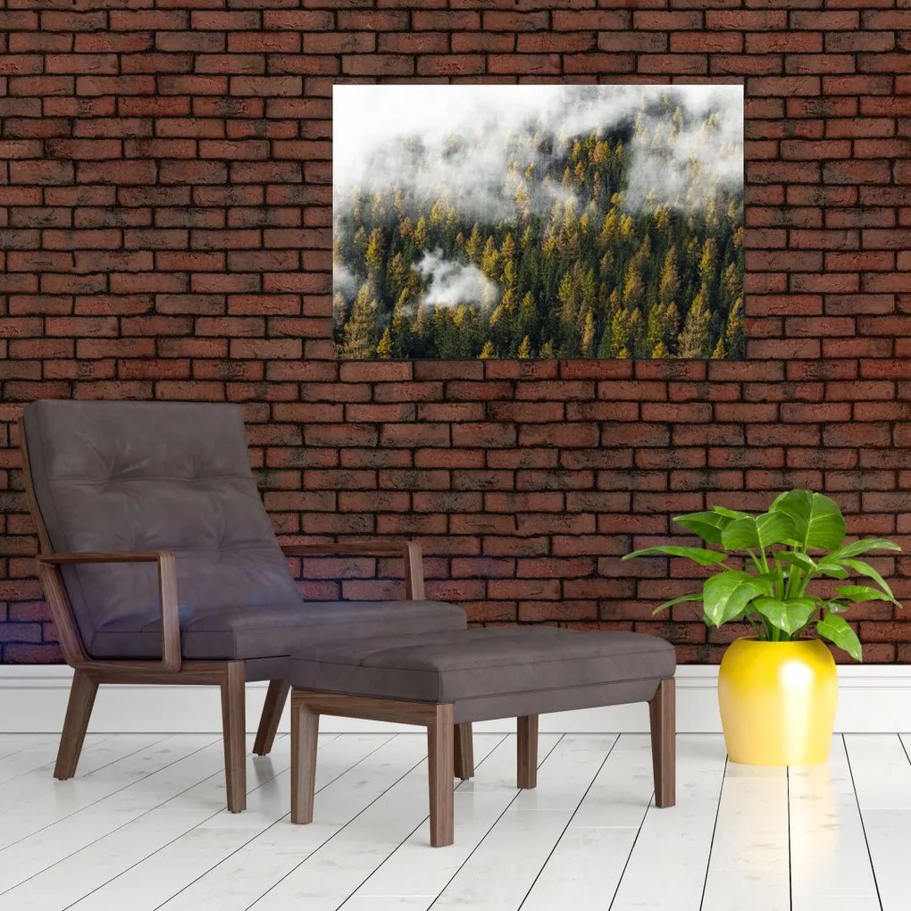 Tablou - Pădure în nori (90x60 cm)