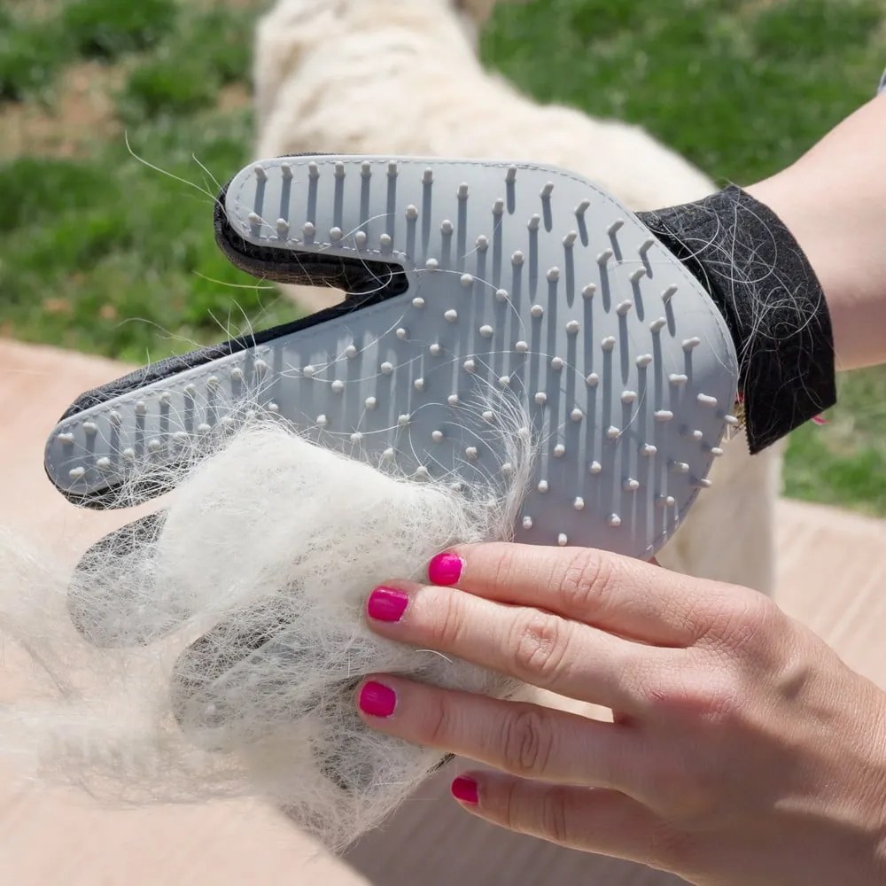 Mănușă pentru masaj și pieptănare a pisicii InnovaGoods
