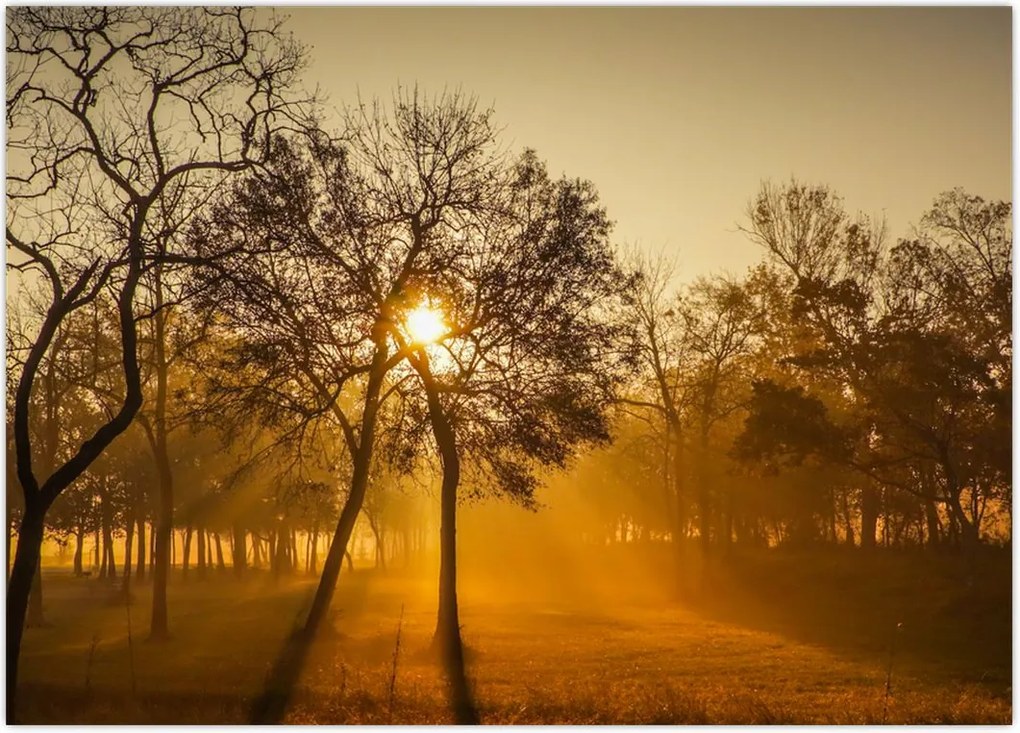 Tablou - Răsărit de soare (70x50 cm)