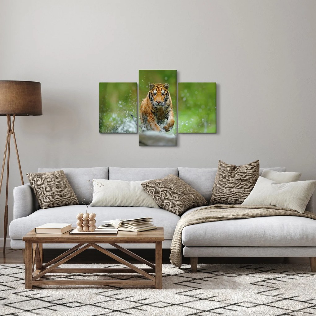 Tablou - Tigru care aleargă (90x60 cm)