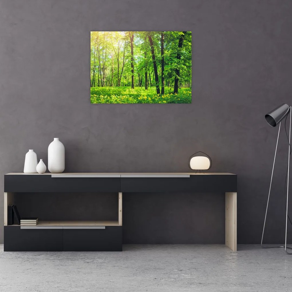 Tablou pe sticlă - Pădurea cu frunze de primăvară (70x50 cm)