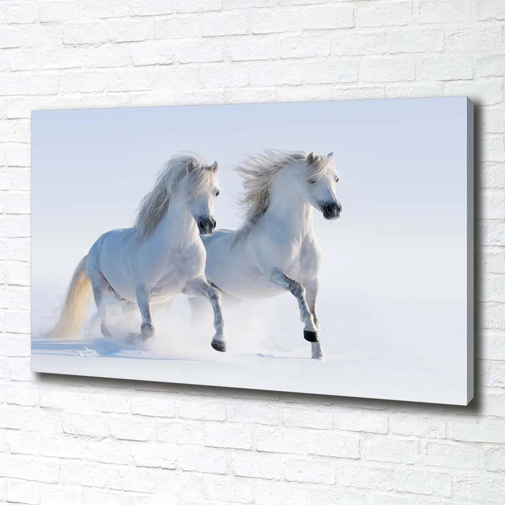 Print pe canvas Doi cai în zăpadă