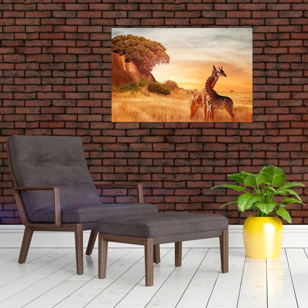 Tablou Girafe în Africa (90x60 cm)