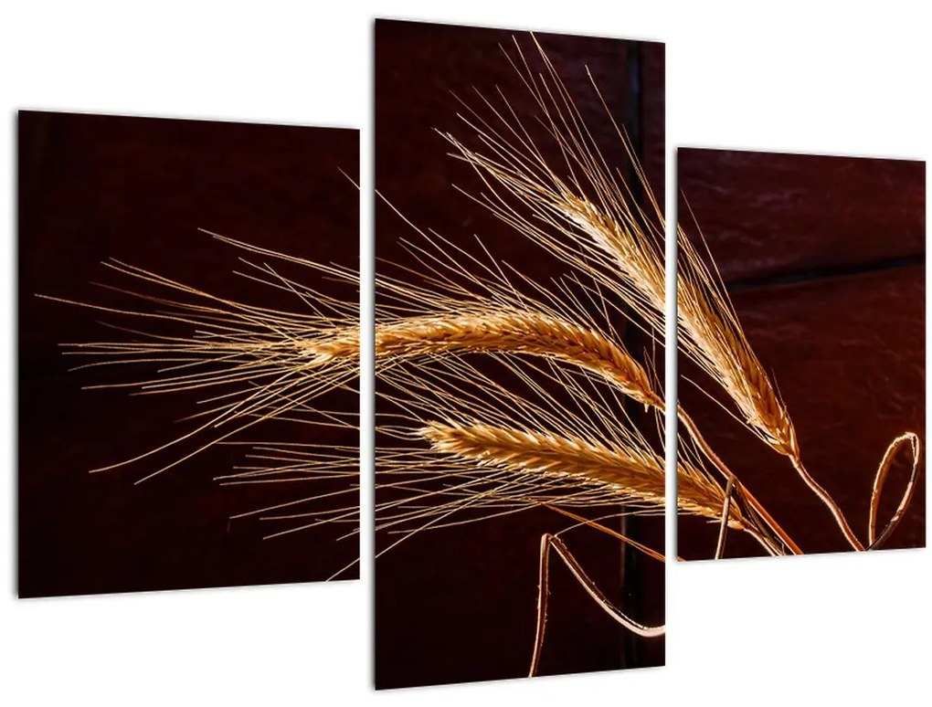 Tablou - Spic în prim plan (90x60 cm)