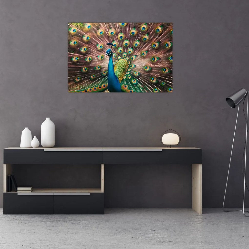 Tablou - Păun (90x60 cm)