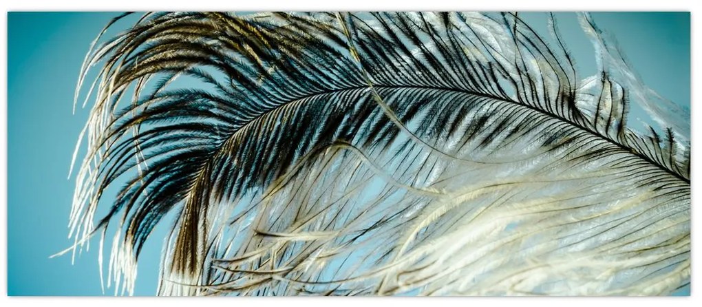 Tablou cu pană (120x50 cm)