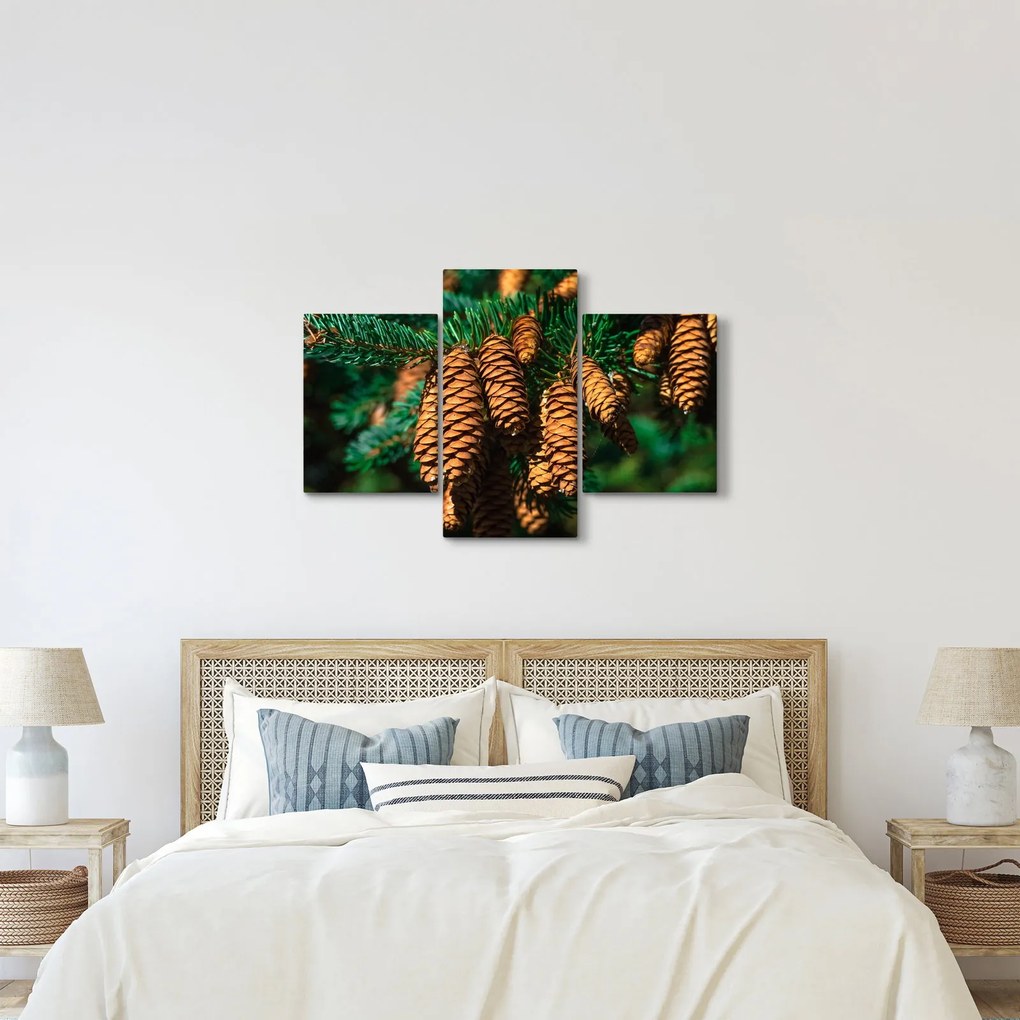 Tablou cu con de brad (90x60 cm)