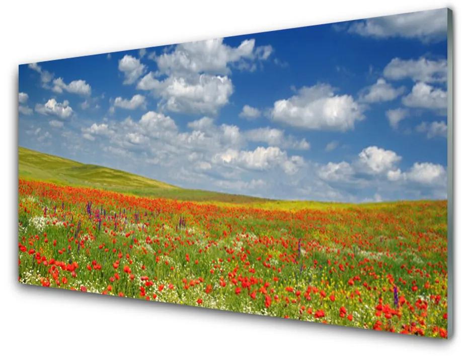 Tablou pe sticla Meadow Flori Peisaj Roșu Alb Verde