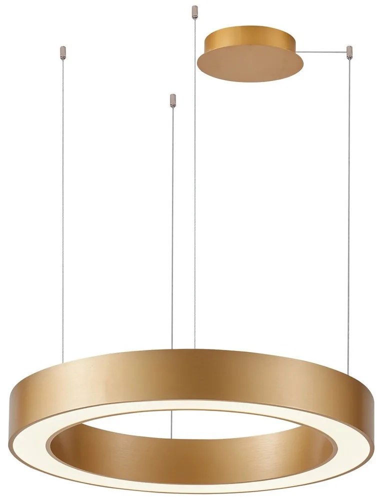 Azzardo AZ5054 - Lustră LED dimabilă pe cablu MARCO LED/100W/230V auriu + + telecomandă