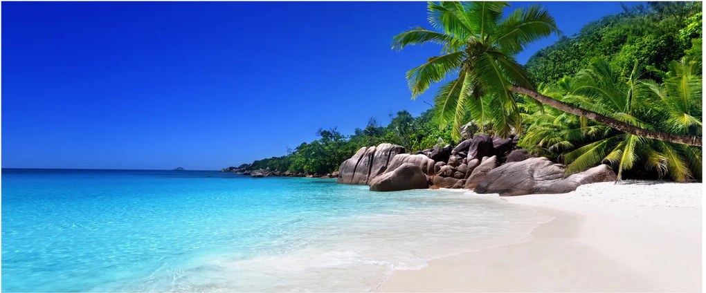 Tablou cu plaja pe insula Praslin (120x50 cm)