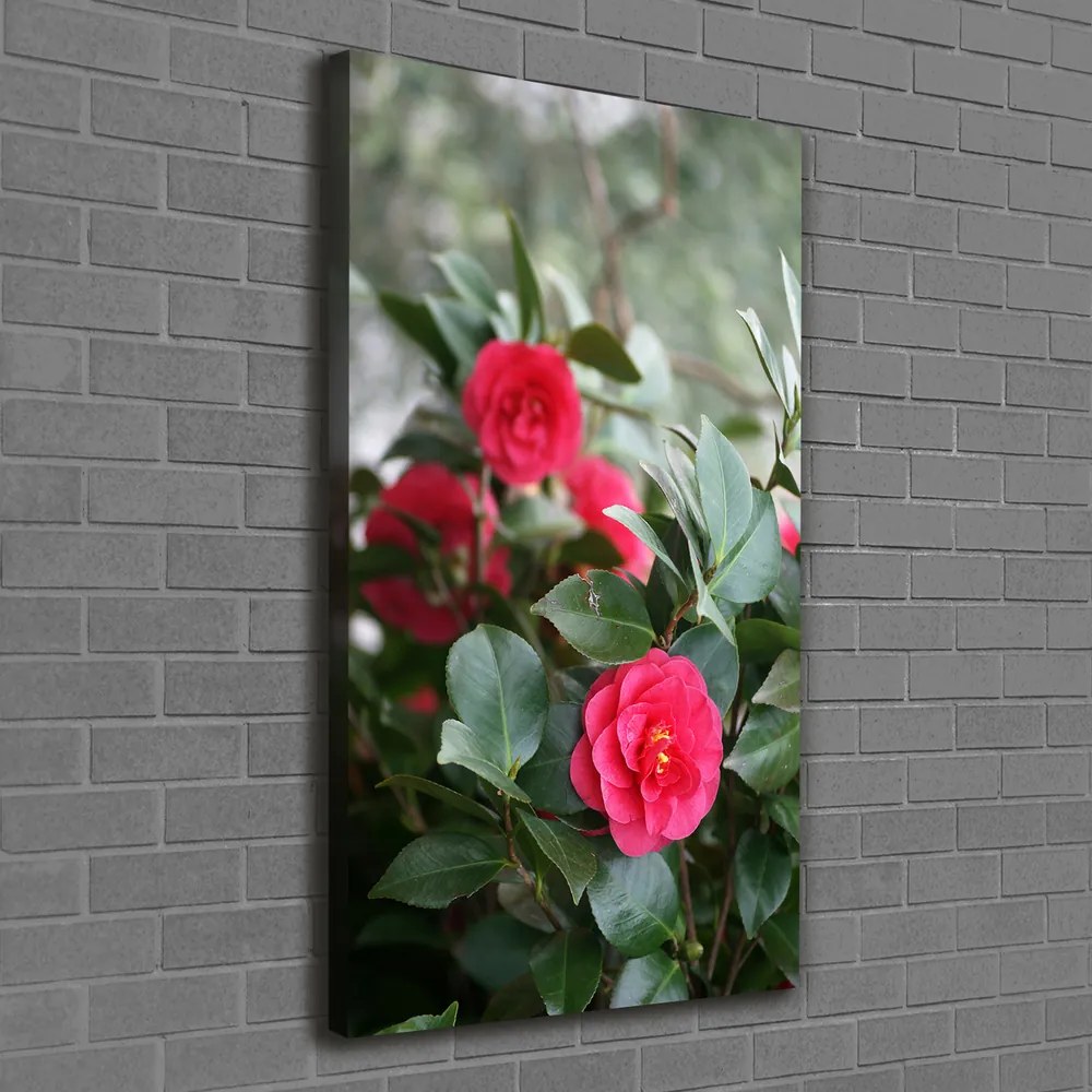 Print pe pânză Camelia