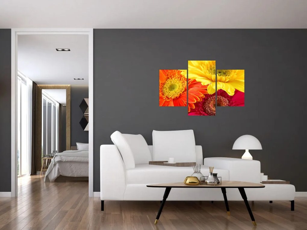 Tablou - Flori Gerbery (90x60 cm)
