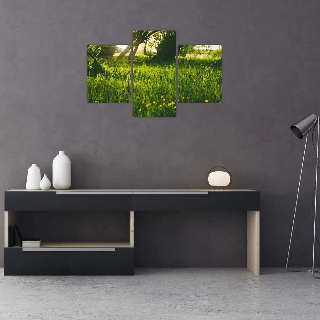 Tablou cu natura - lunca (90x60 cm)
