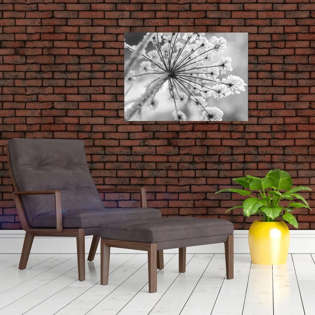 Tablou pe sticlă - Floare în timpul iernii (70x50 cm)