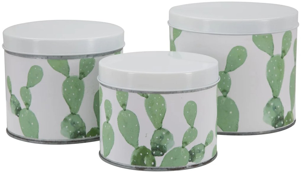 Set de 3 doze metalice CACTUS