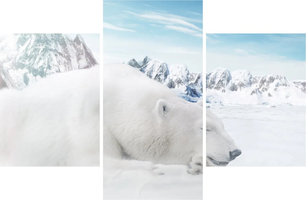 Tablou - Urs polar (90x60 cm)
