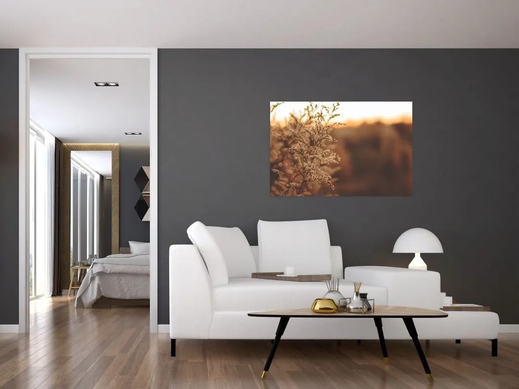 Tablou - Iarba înflorită (90x60 cm)
