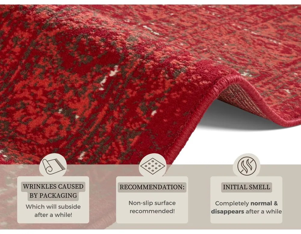 Covor Hanse Home Celebration Plume, 120x170 cm, roșu