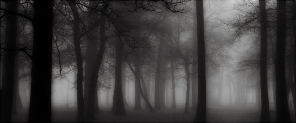 Tablou - Pădure în ceață (120x50 cm)