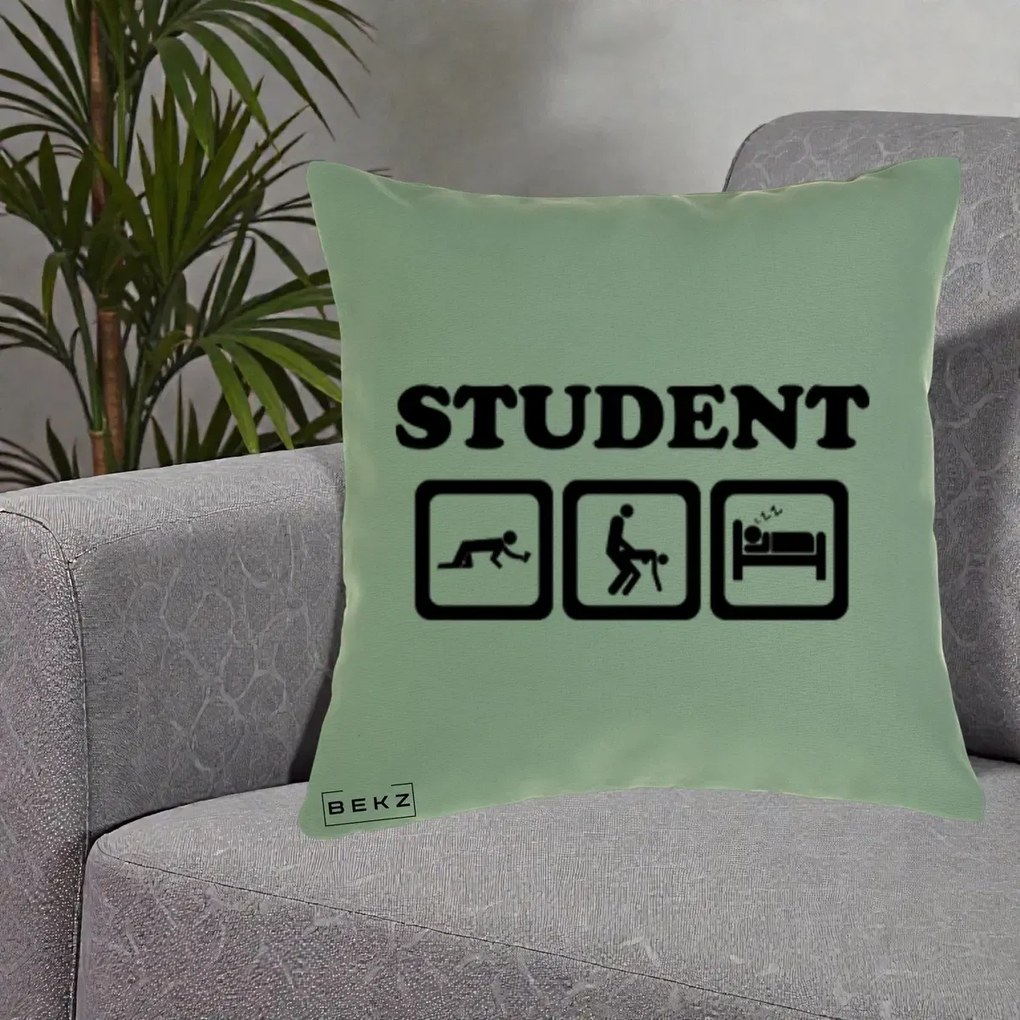 Perna Decorativa Student Life, 40x40 cm, Verde, Husa Detasabila, Perna Inclusa, BEKZ®