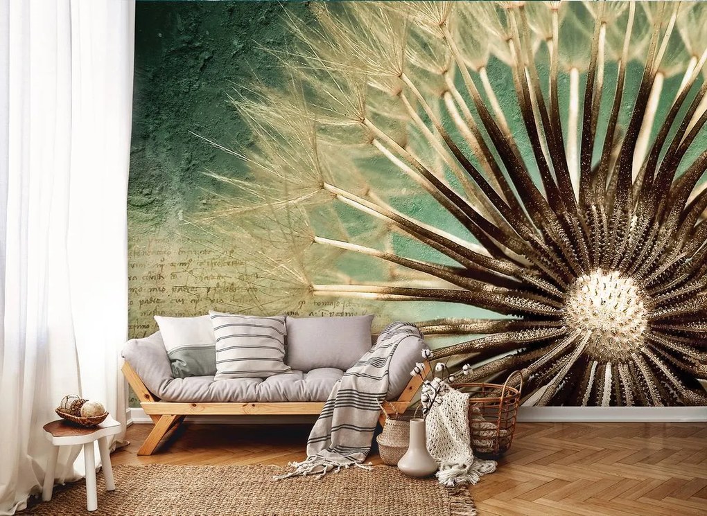 Fototapet - Păpădie (152,5x104 cm)