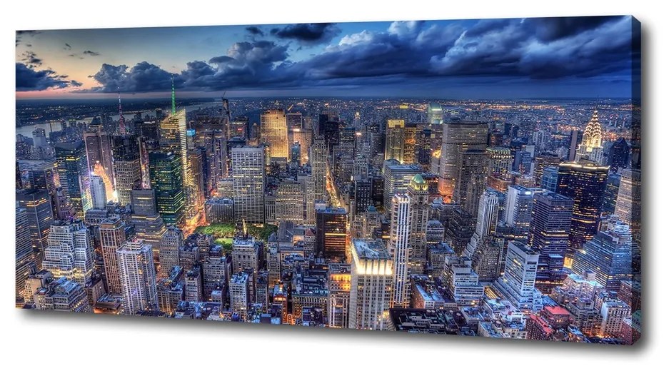 Imprimare tablou canvas New york pasăre de zbor