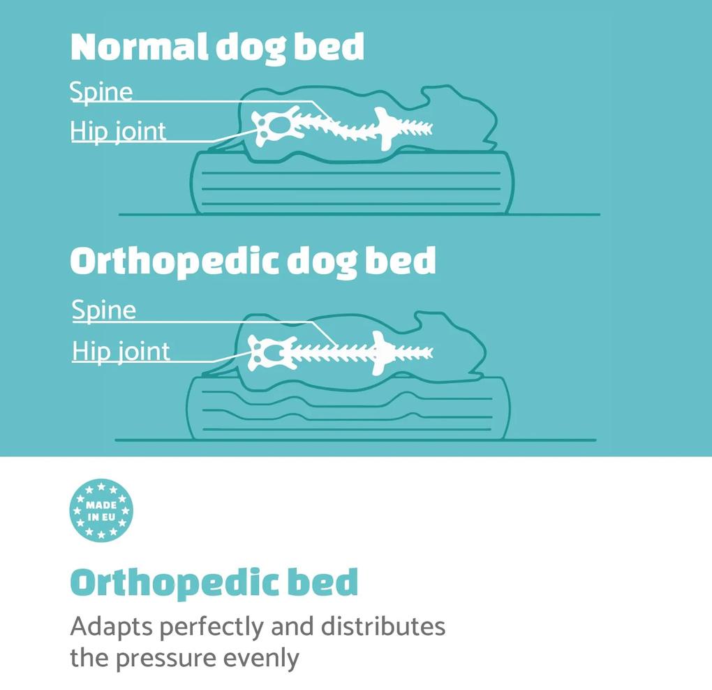Lotte, așternut pentru câine, pernă pentru câine, lavabil, ortopedic, antiderapant, respirabilă, spumă cu memorie, mărimea M (80 × 20 × 60 cm)