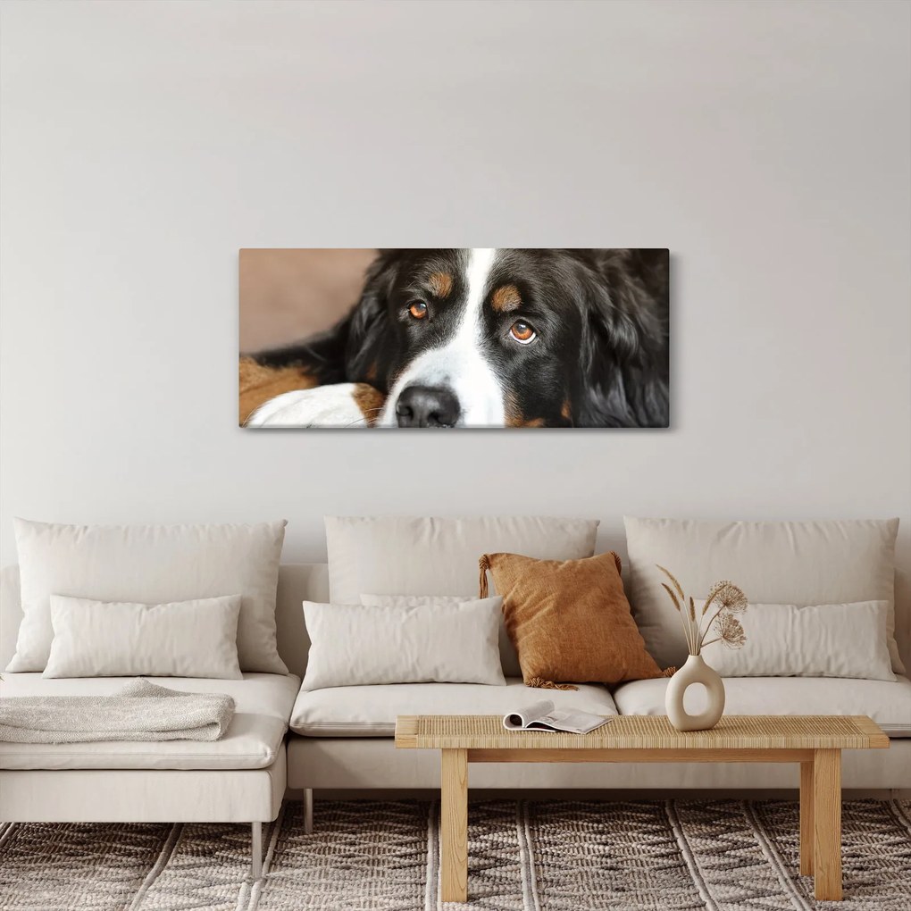 Tablou cu câine (120x50 cm)