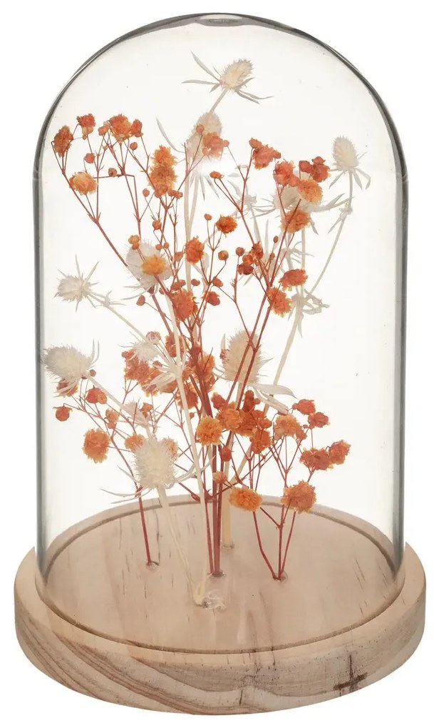 Flori uscate sub clopot de sticla FLOWER BELL, inaltime 17 cm Culoare: Portocaliu