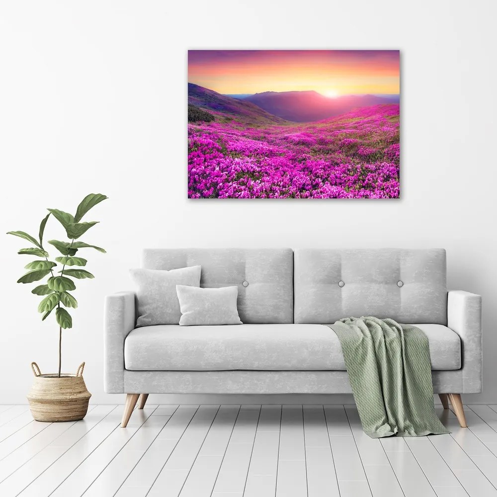 Tablou pe pânză canvas Deal roz
